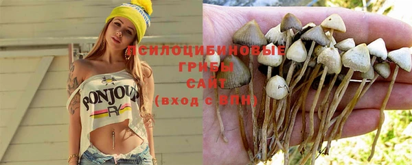соль ск Карпинск